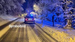 Abklärung, in Frauenfeld, Obholz, Benötigen Unterstützung bezüglich Personenbergung,