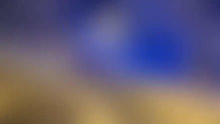 Abklärung, in Frauenfeld, Obholz, Benötigen Unterstützung bezüglich Personenbergung,