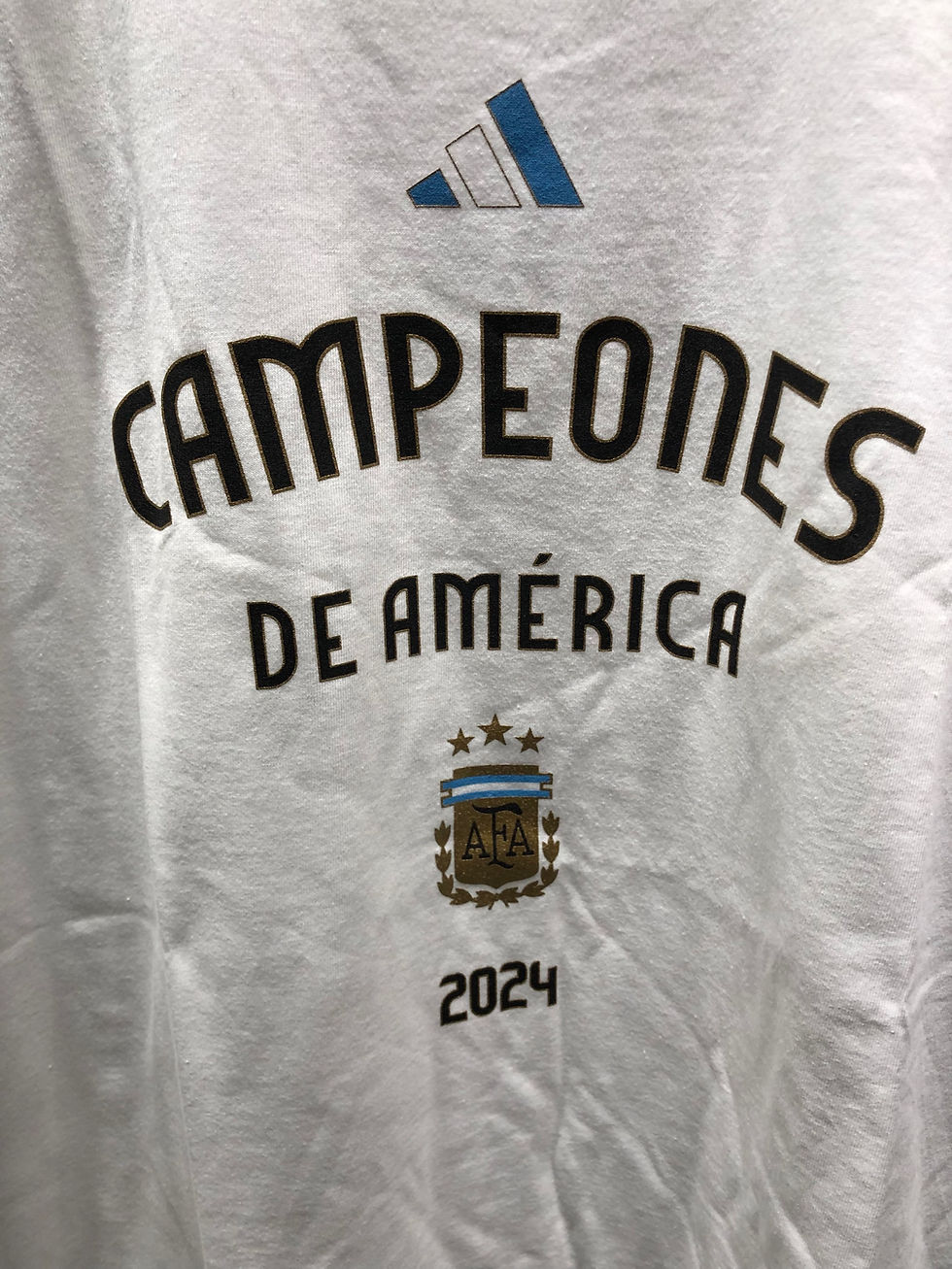 Thumbnail: Remera Algodon AFA Campeones de America 2024