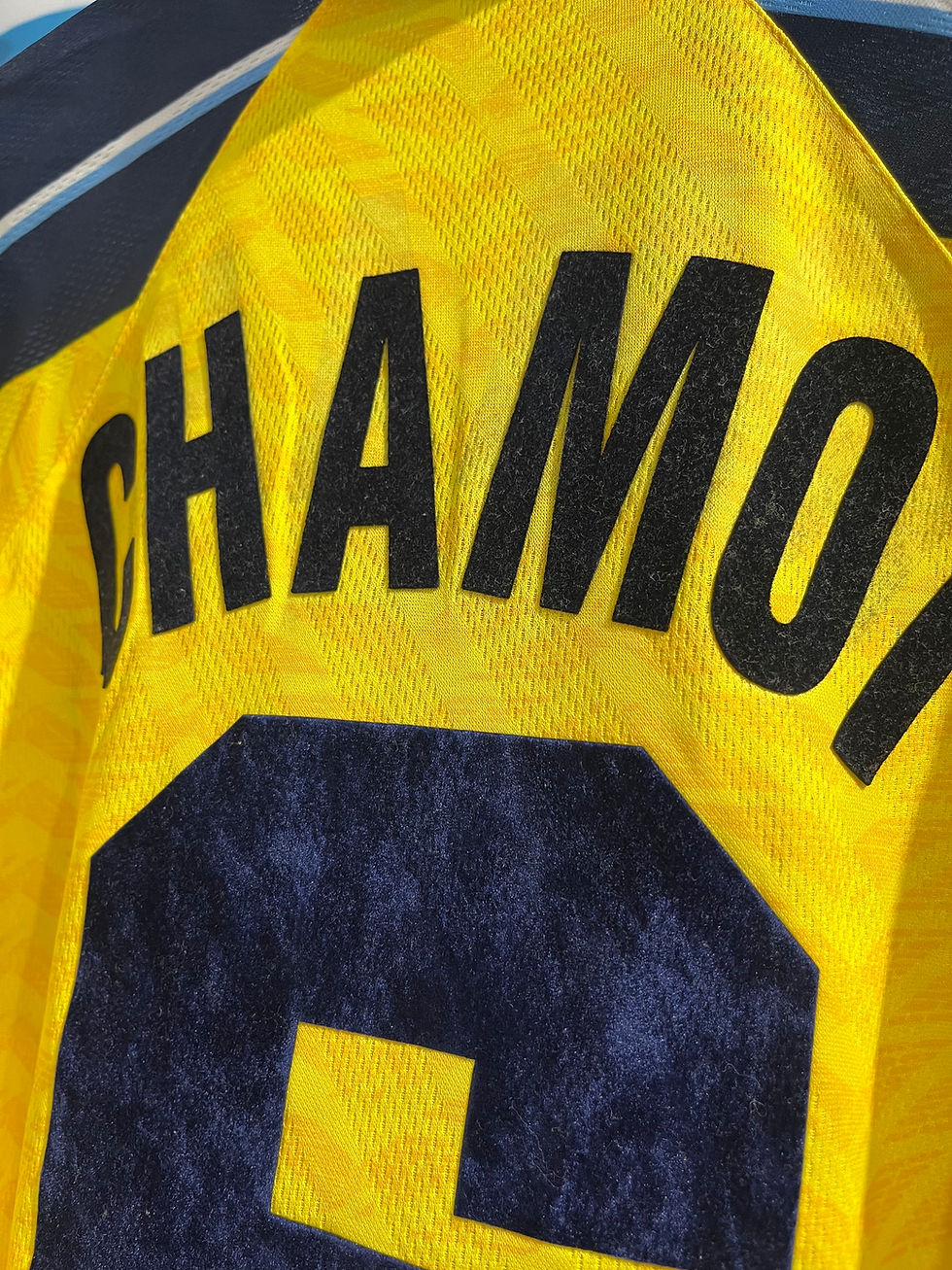 Miniatura: Camiseta Marchworn Alternativa Lazio 1996/97 #6 Chamot 