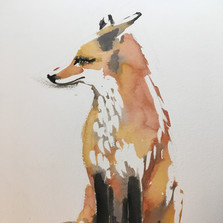 Vixen