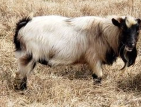 Screenshot 2026-02-21 154155.png