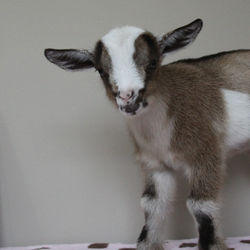 Meg's Blessings LetUrLiteShine