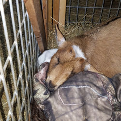 20210117_183055_edited