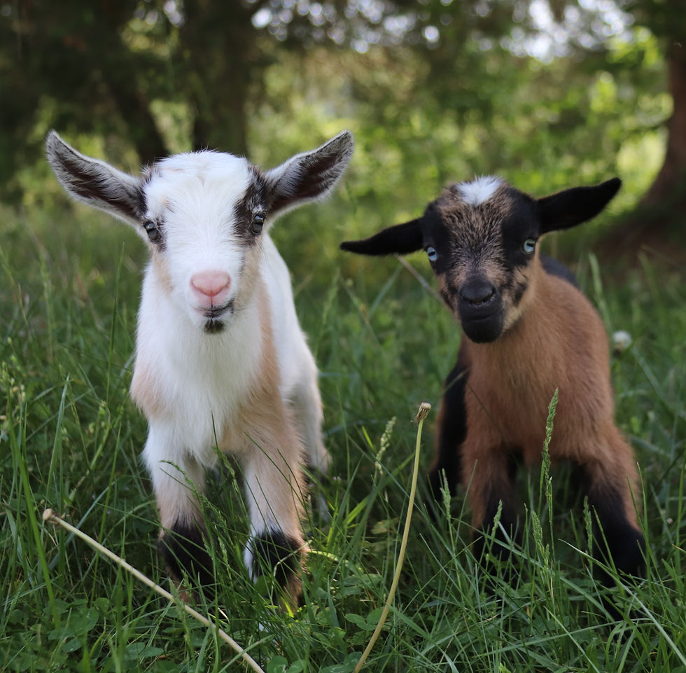 Baby picture