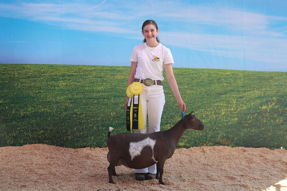 Me & GCH Primrose Hill Immort-Elle 6*M "Elle"