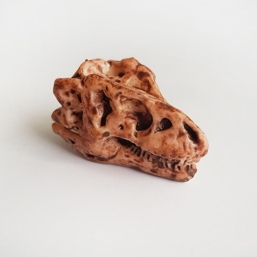 Thumbnail: Tyrannosaurus Rex dinosaur skull toy