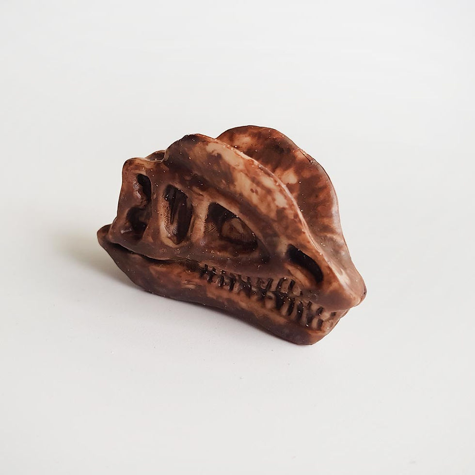 Thumbnail: Dilophosaurus dinosaur skull toy