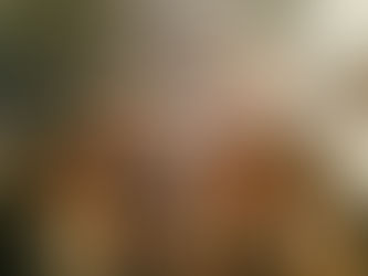 四ッ谷アウトブレイク終了！