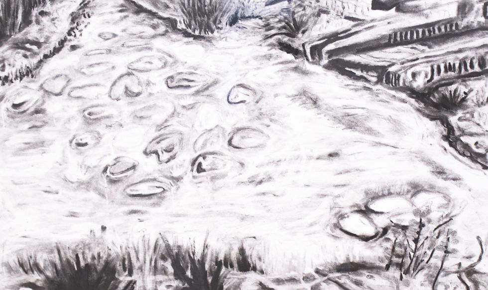 11_Rosa_Maria_Nuutinen_En_Plein_Air_(Chasing_for_Monet)_2024_01_edited.jpg