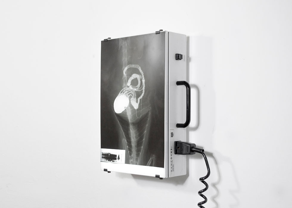 Rosa_Scan_2.jpg