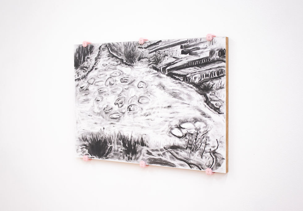 13_Rosa_Maria_Nuutinen_En_Plein_Air_(Chasing_for_Monet)_2024_03.jpg