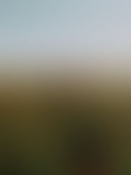 FAÇO OU NÃO FAÇO?