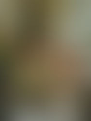 EXISTE BELEZA ENQUANTO VOCÊ ESPERA