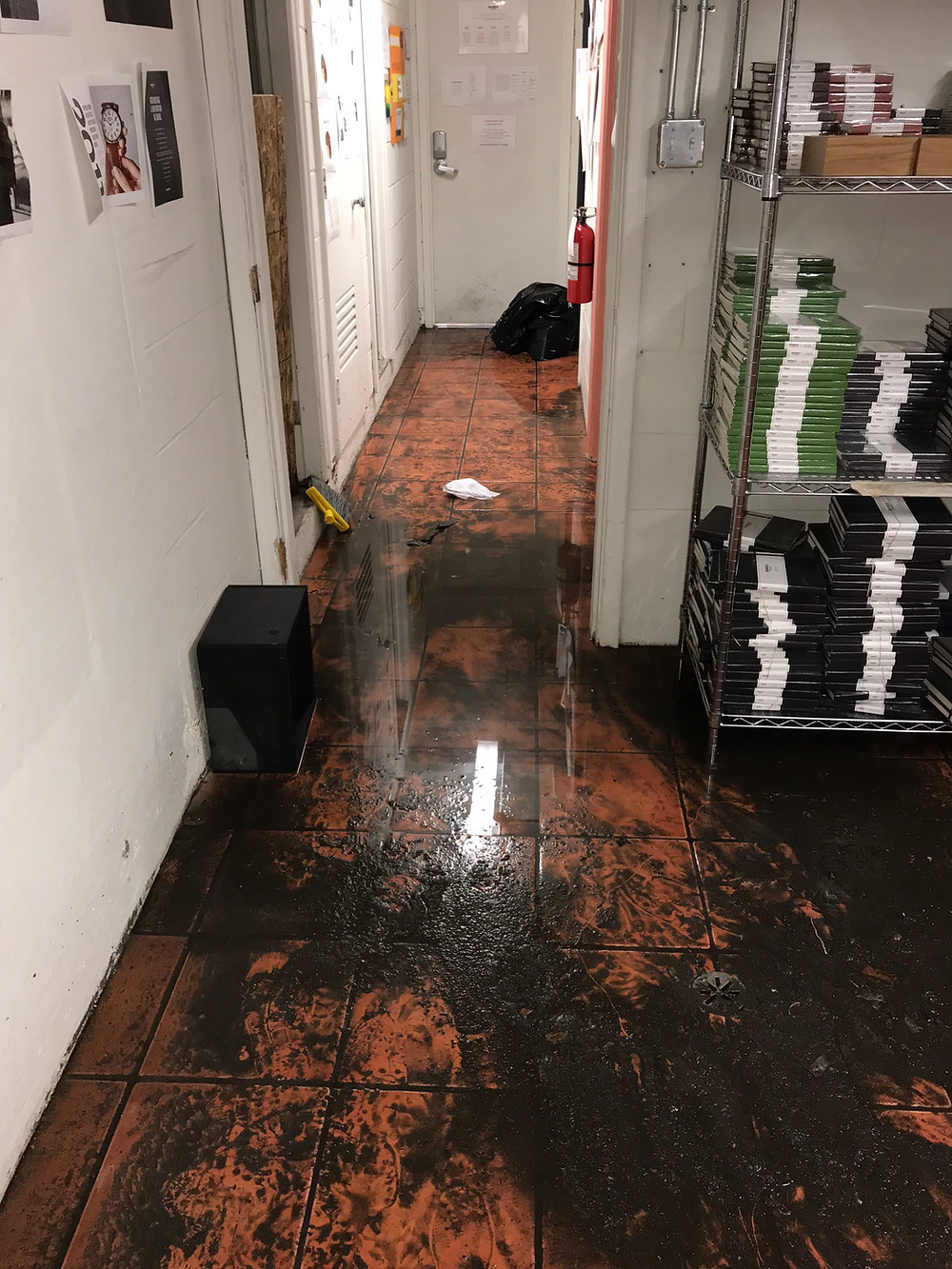 toronto-basement-flood-cleanup-company