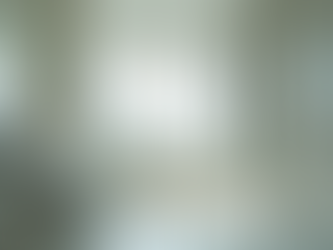 Accessible Bathroom Layouts for Every Need