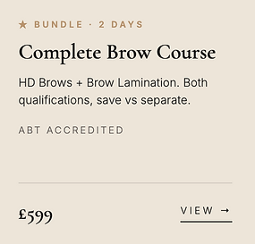 Complete Brow Course HD Brows and Brow Lamination IMAJ Aesthetics Academy