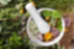 Phytotherapie
