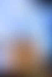 Orange Indigenous flags at an event