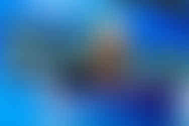 Linda McQuaig speaking at a Convention