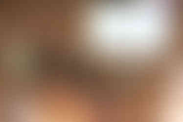 panelists speaking at a break-out room