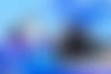 Retiree speaking at OPSEU Convention