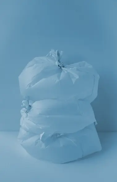 plastic bag image.webp