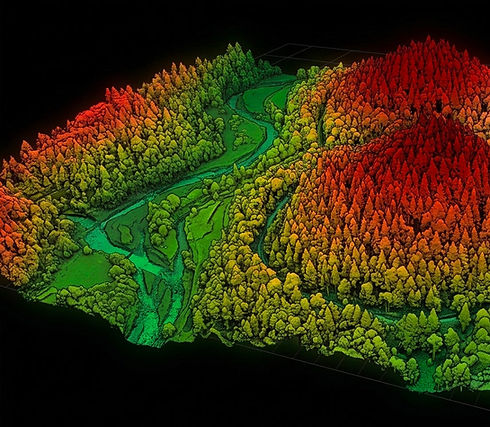 MNT-Foresterie2.jpg