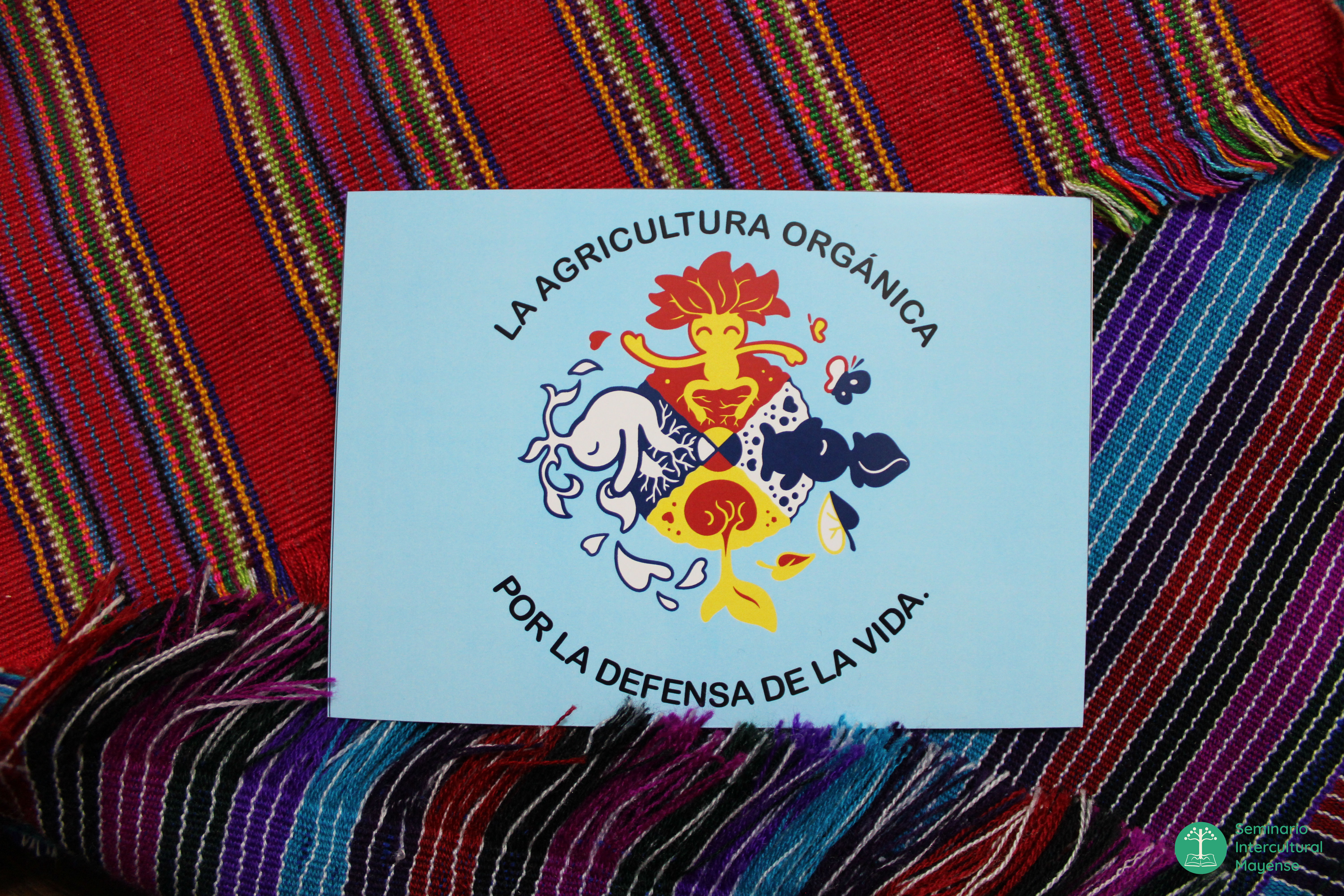 Postal Frijolitos