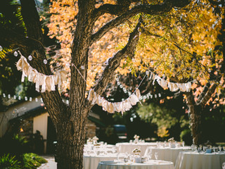 Weddings are Not Always Supposed to Be Expensive