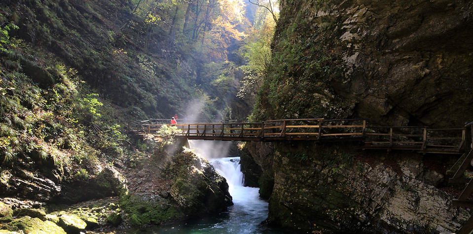 Bridge Over River