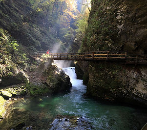 Bridge Over River