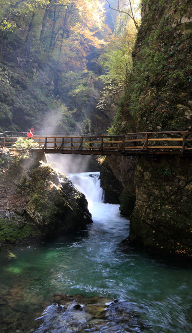 Bridge Over River