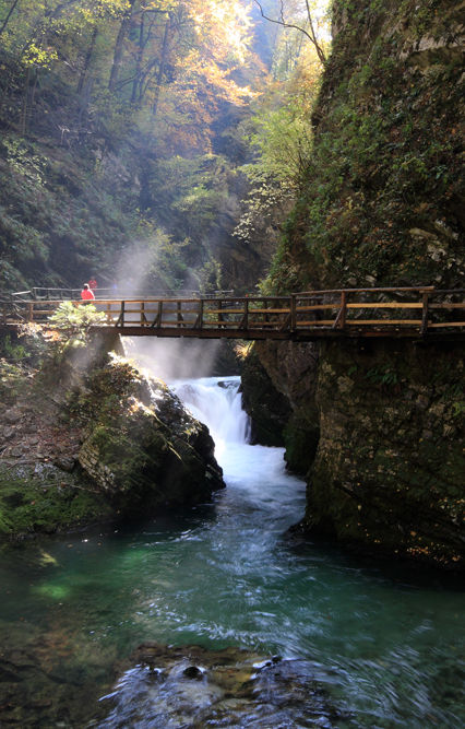 Bridge Over River