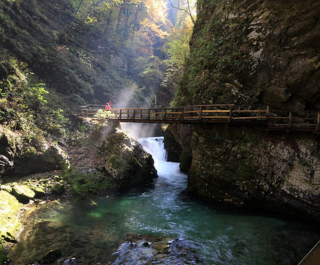 Bridge Over River
