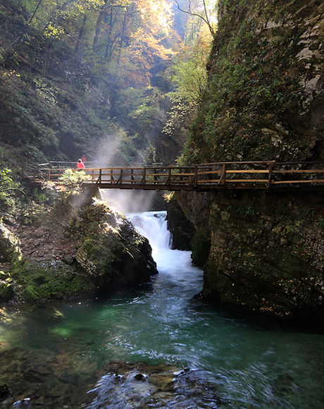 Bridge Over River