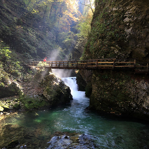 Bridge Over River