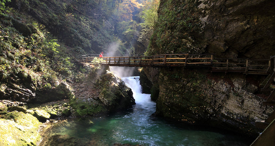 Bridge Over River