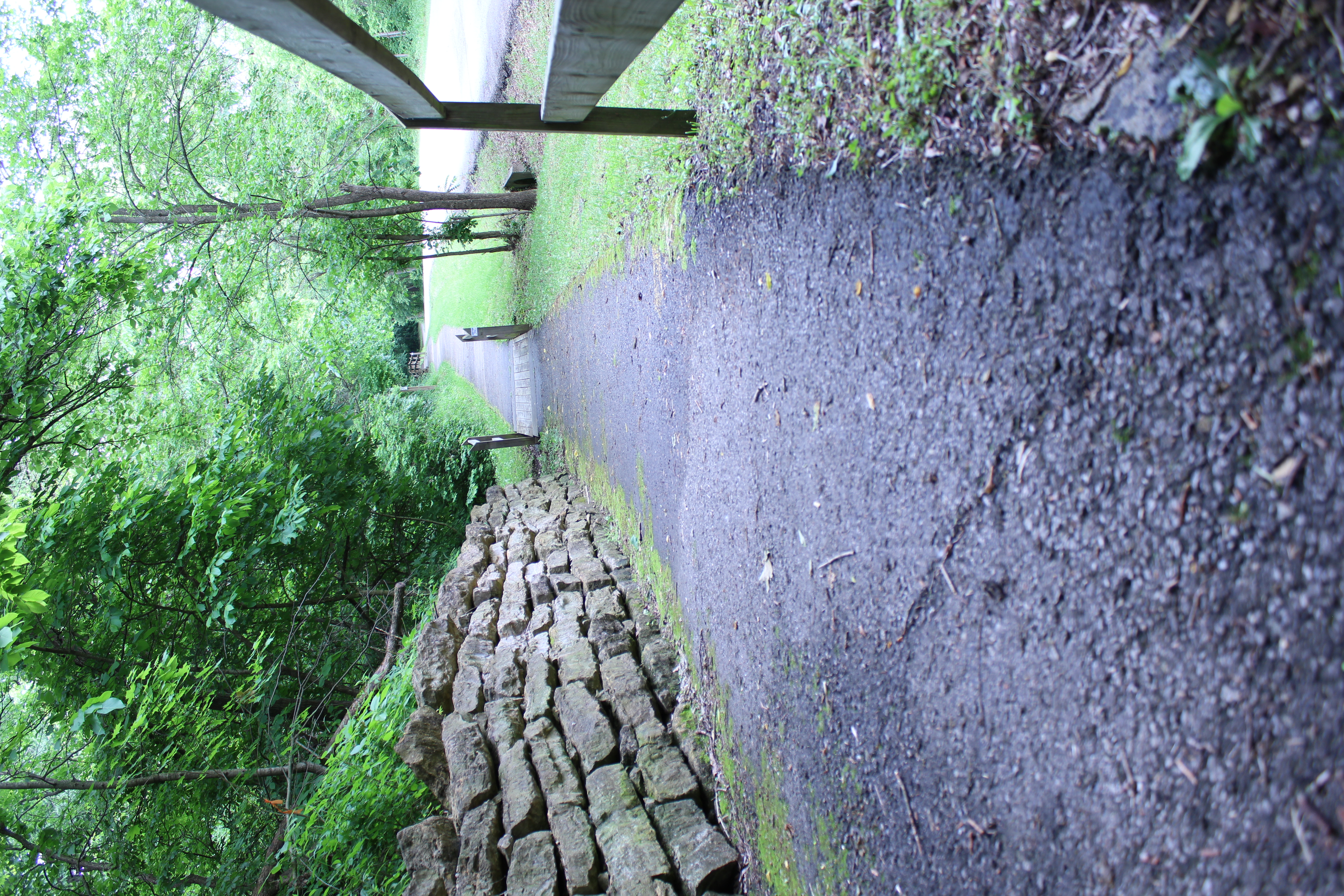 Isley Park Woods Trail