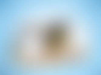 تشطيبات شقق