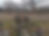 332749763_3077495205729974_1883460766934616248_n.jpg