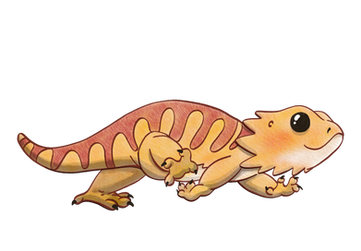 Photo 2020-12-09, 8 21 59 PM.png