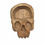 Thumbnail: Skull bowl.