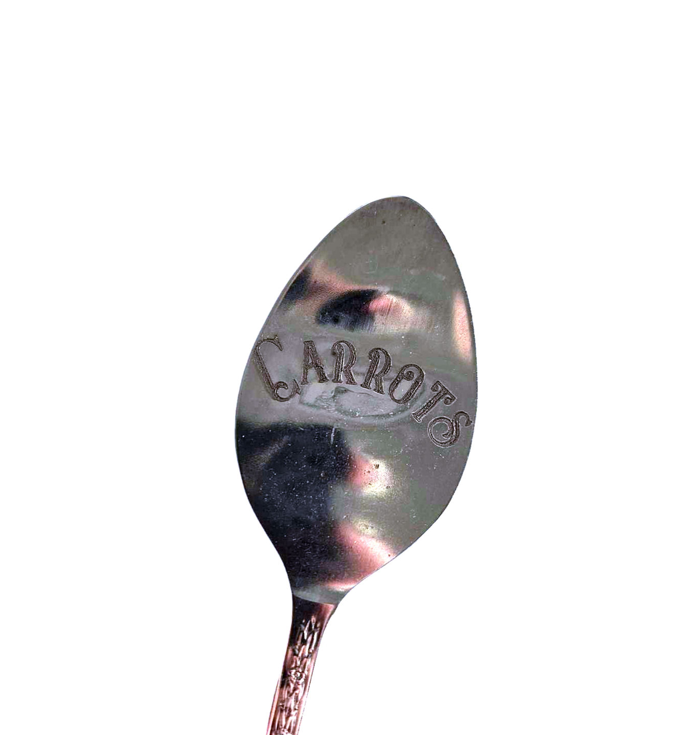 Carrots plant marker.