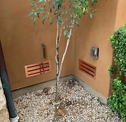 Screenshot 2025-09-22 at 10.09.56 AM.png