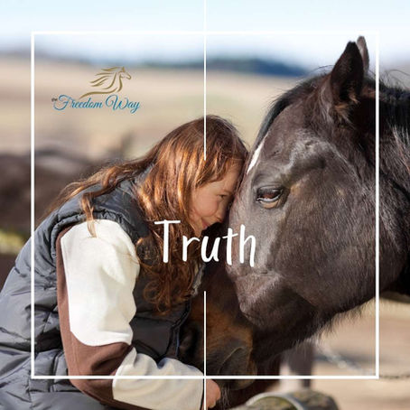 How This Work Changes Lives: A Client’s Perspective on Equine-Assisted Coaching