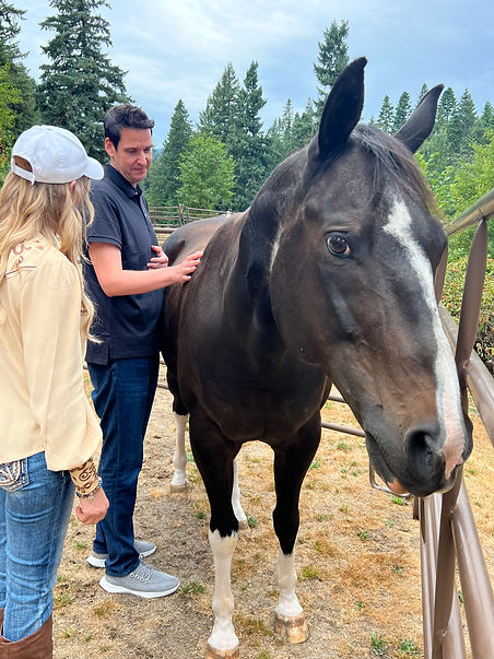 equine-assisted coaching session with a woman and a man standing beside a brown horse. The man is touching the side of the horse.
