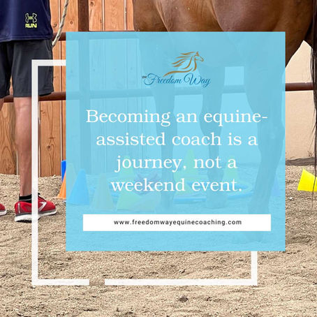 How Long Does It Take to Become an Equine-Assisted Coach?