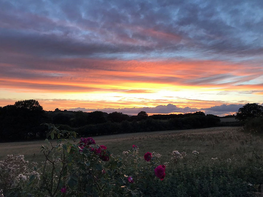 sunset with flowers