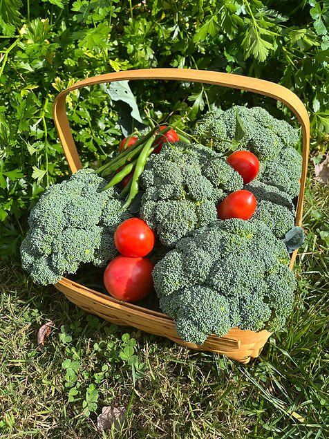 veggie basket.jpeg